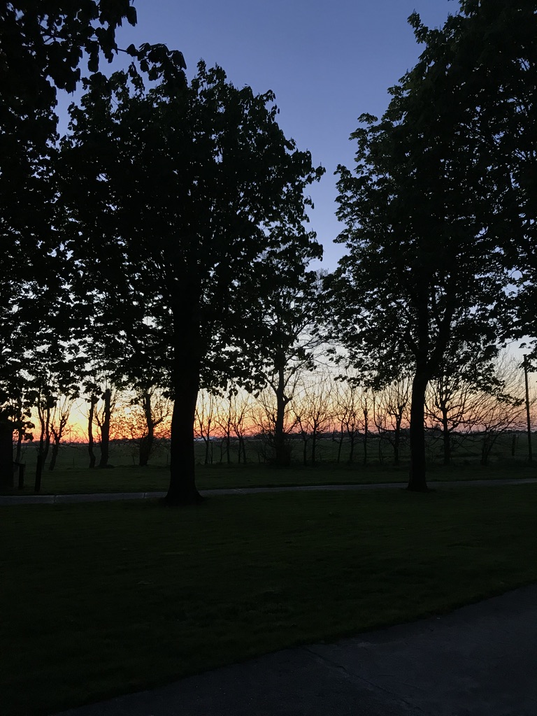 UNADJUSTEDNONRAW_thumb_5e48 Startseite_2023