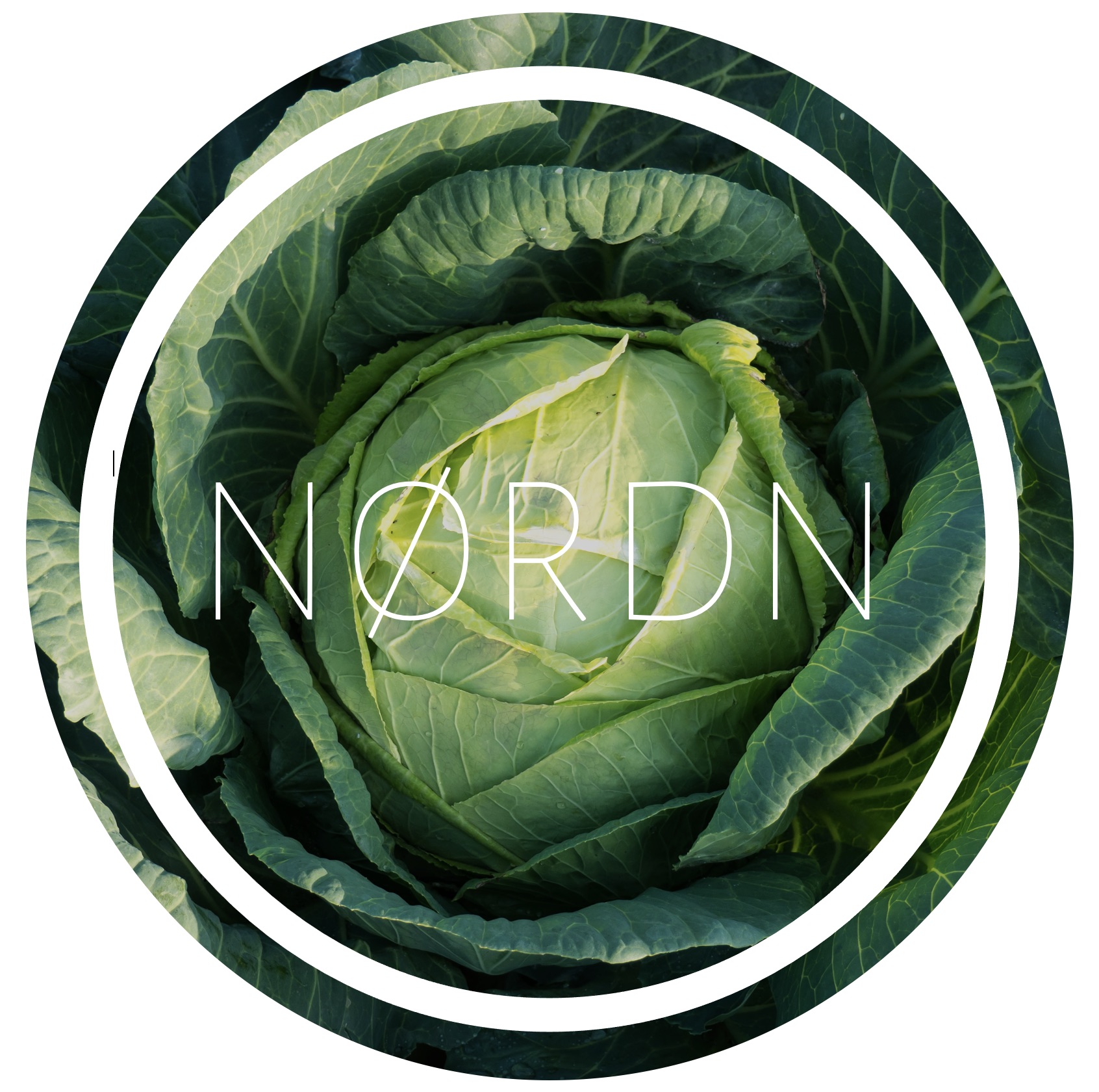 Bildschirmfoto-2022-04-07-um-13.52.36 Buchung_kohlbuur