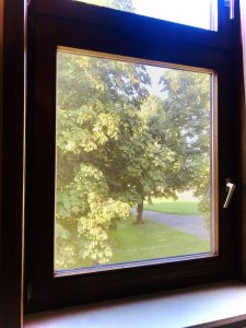 IMG_1391-225x300 Startseite_2023