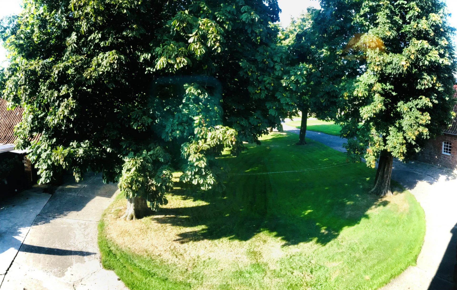 IMG_1398-scaled Startseite_2023