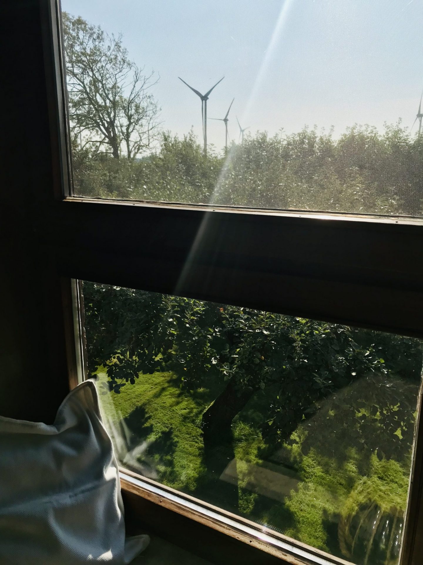 IMG_1416-scaled Buchung_wattenloper