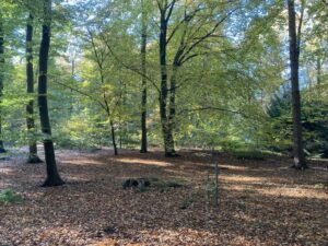 4_IMG_6946-300x225 Startseite_2023